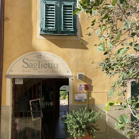 Uliveto Saglietto Agriturismo A Poggi Apartments Imperia Eksteriør billede