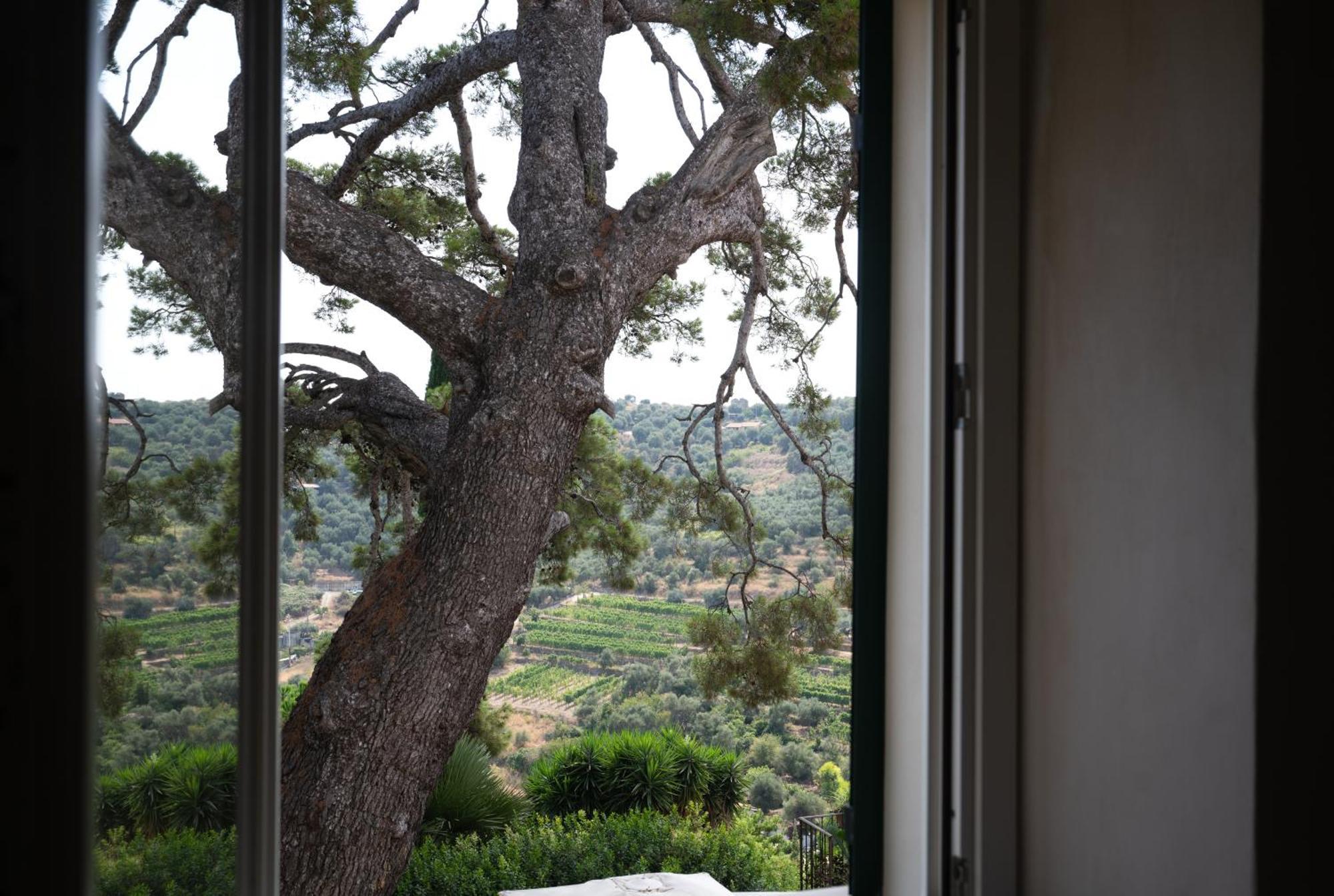 Uliveto Saglietto Agriturismo A Poggi Apartments Imperia Eksteriør billede