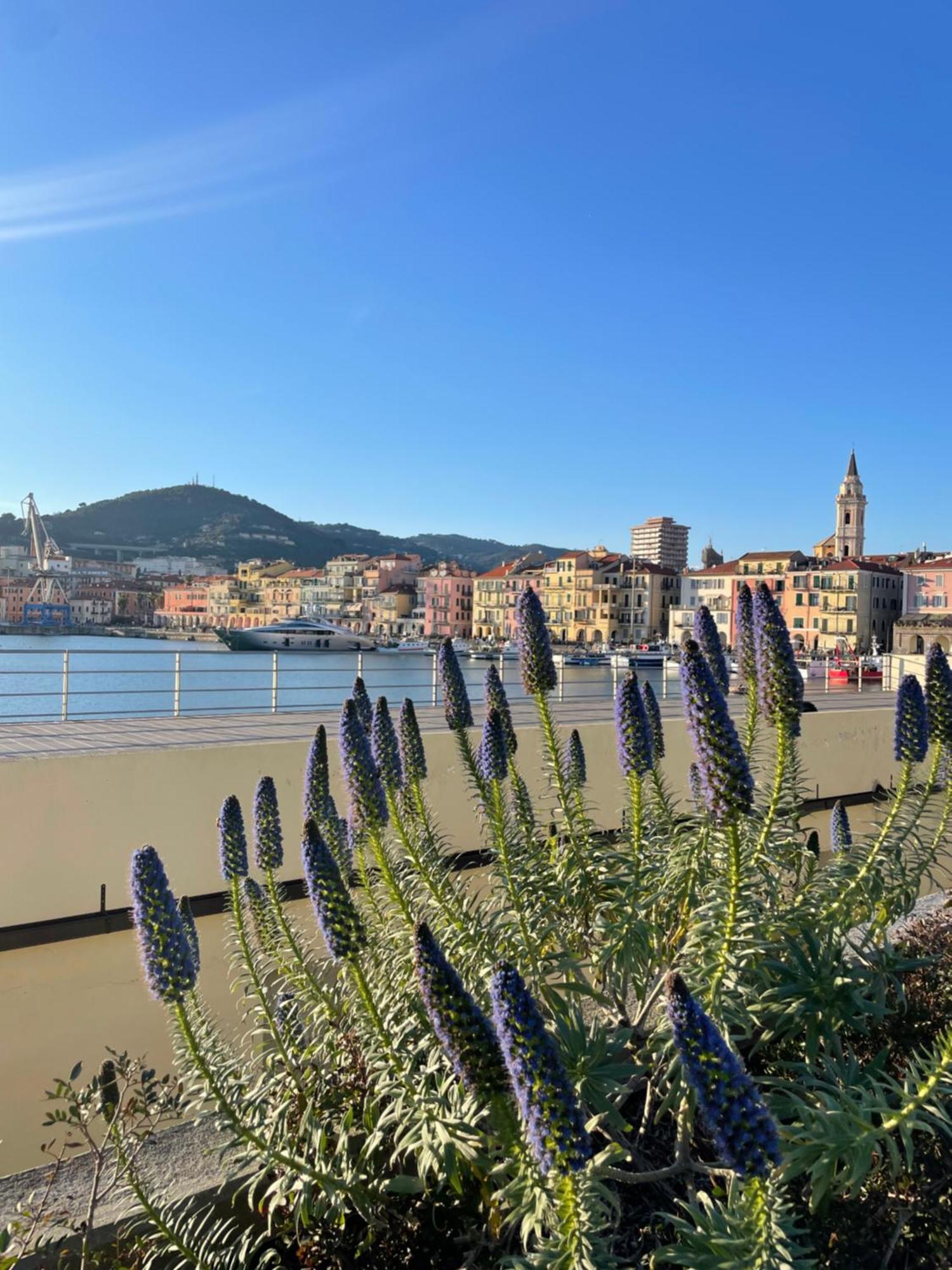 Uliveto Saglietto Agriturismo A Poggi Apartments Imperia Eksteriør billede