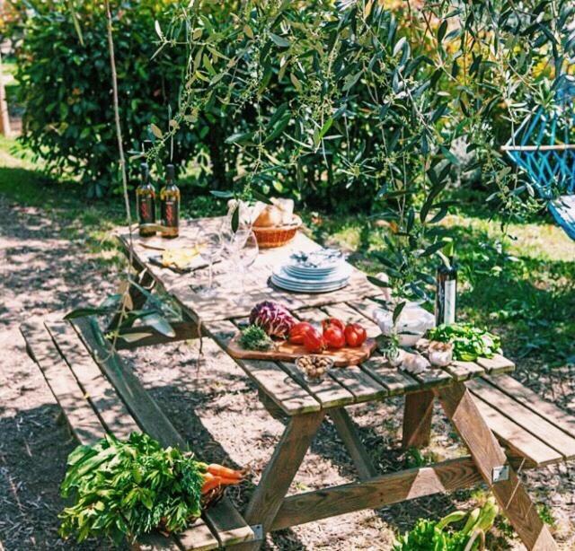 Uliveto Saglietto Agriturismo A Poggi Apartments Imperia Eksteriør billede
