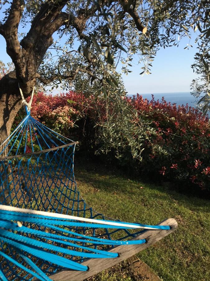 Uliveto Saglietto Agriturismo A Poggi Apartments Imperia Eksteriør billede